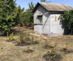 Продам дачу , Валківський район