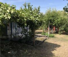 Продам дачу , Валківський район