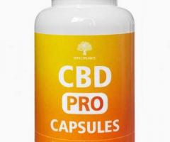 CBD 250 мг Премиум — 100 капсул. Высокая концентрация для спокойствия и восстановления