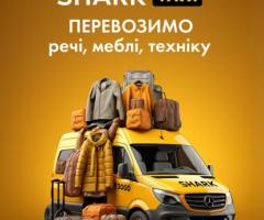 Вантажне таксі Shark Taxi — вантаж прибуде швидко, цілим і вчасно!