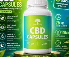 CBD капсулы премиум 25 мг 60 капсул – поддержка эмоционального баланса, сна и самочувствия