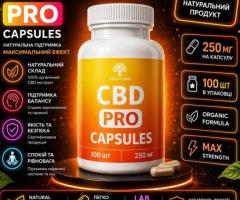 CBD капсулы 250 мг Premium 60 шт — натуральная поддержка нервной системы, снижение стресса и улучшен