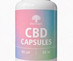 CBD капсулы 25 мг — премиум-поддержка баланса и спокойствия