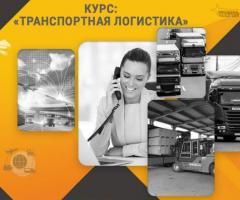 Курс «Транспортная логистика»: профессия с высоким спросом за несколько недель