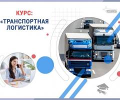 Курс «Транспортная логистика»: профессия с высоким спросом за несколько недель
