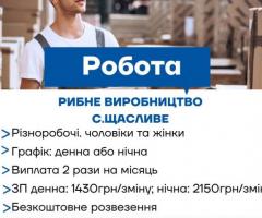 Робота на харчовому виробництві з безкоштовним проживанням у с. Щасливе