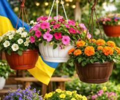 Підвісні горщики для квітів: оптом та в роздріб.